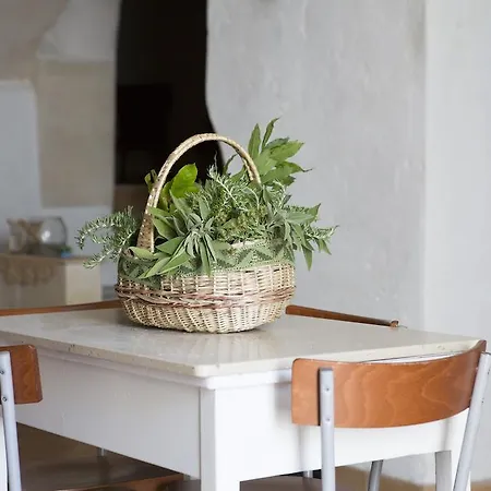 Appartement Casa Vetere